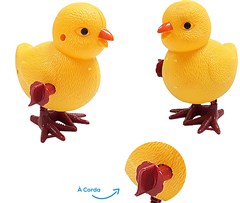 PINTINHO AMARELINHO A CORDA