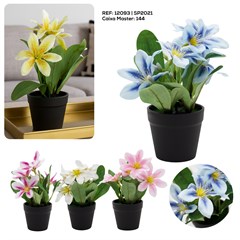 BONSAI LIRIO PEQUENO