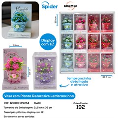PLANTA DECORATIVA LEMBRANCINHA