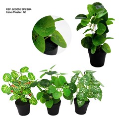 ARRANJO DECORATIVO ANTURIO