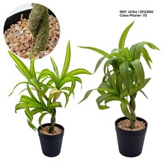 ARRANJO BAMBU ENTRELACADOS