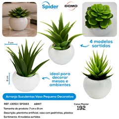 ARRANJO SUCULENTAS VASO PLASTICO COM PEDRAS